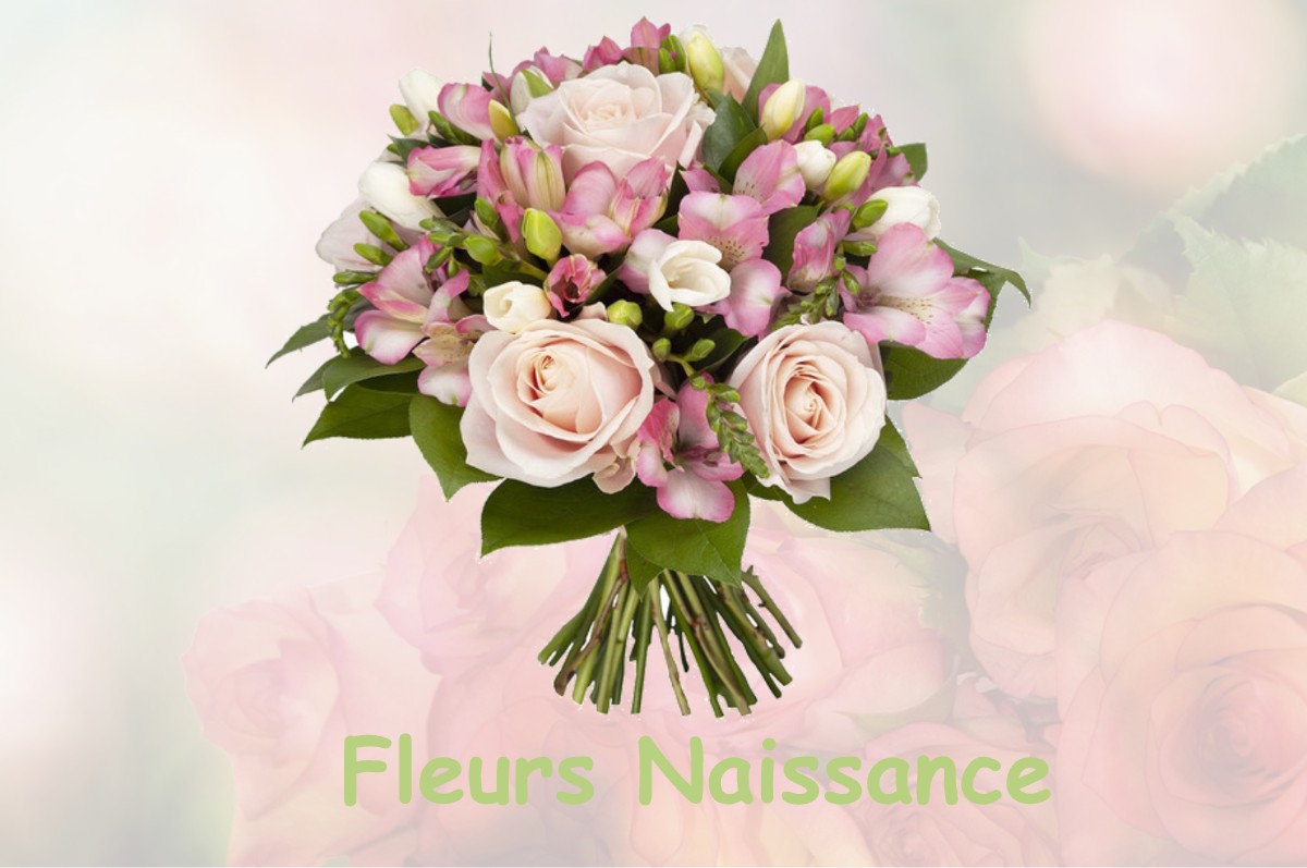 fleurs naissance MAREUIL-SUR-CHER